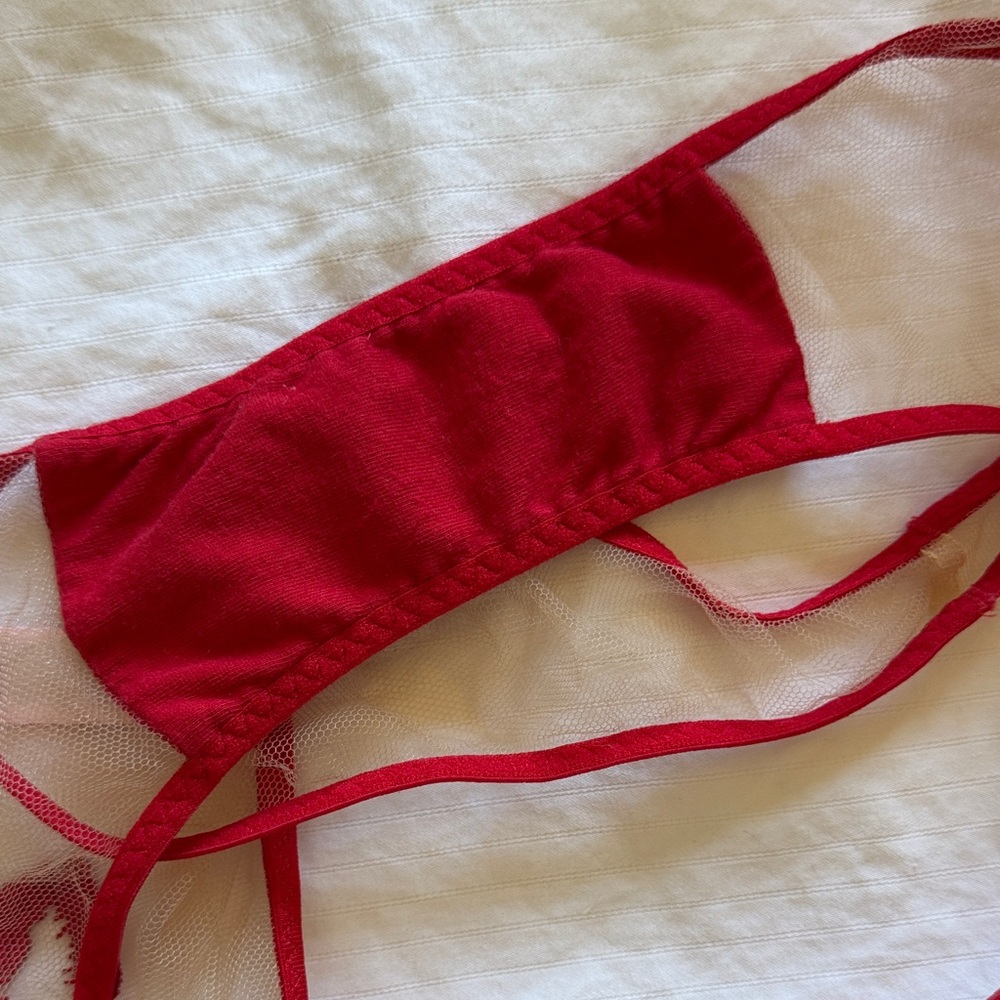 Rare Agent Provocateur Red Kiss Embroidered Sheer Bra Set 34B / AP 3(S/M) - Picture 7 of 9